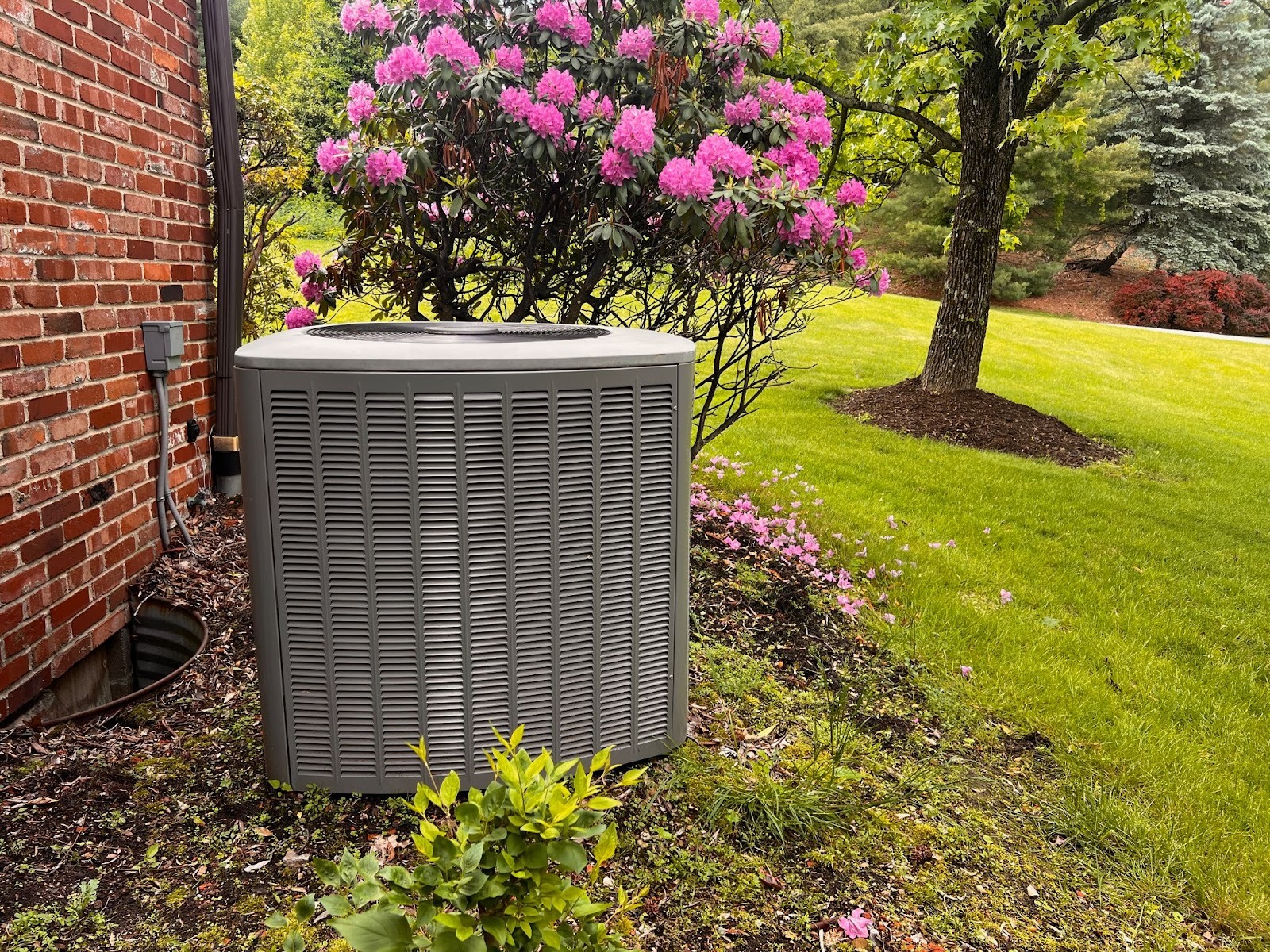 Outdoor AC condenser unit surrounded by spring landscaping ready for seasonal HVAC tune-up